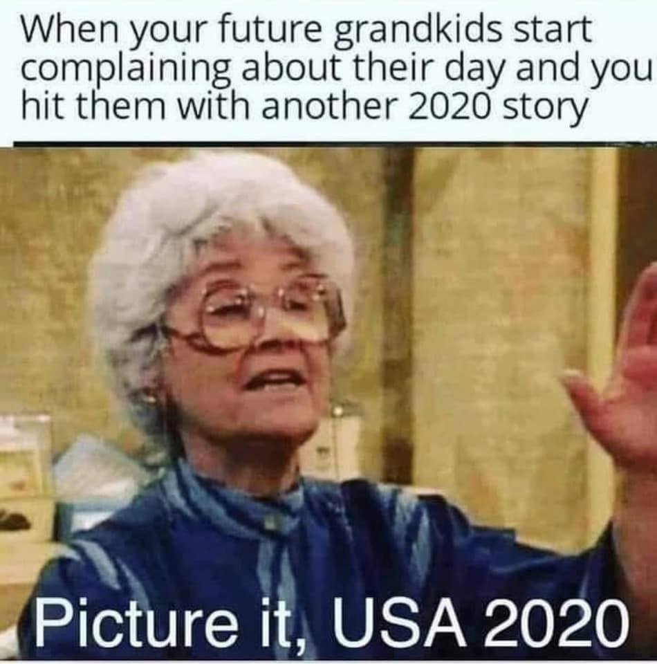 december 2020 meme - When your future grandkids start complaining about their day and you hit them with another 2020 story Picture it, Usa 2020