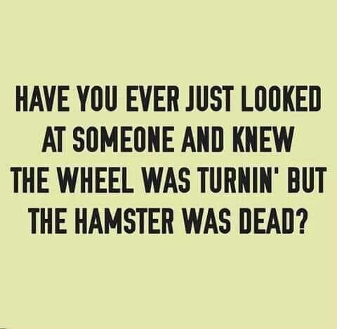 happiness - Have You Ever Just Looked At Someone And Knew The Wheel Was Turnin' But The Hamster Was Dead?