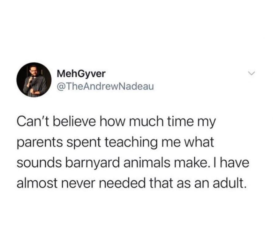 wants to be a web developer - MehGyver Nadeau Can't believe how much time my parents spent teaching me what sounds barnyard animals make. I have almost never needed that as an adult.