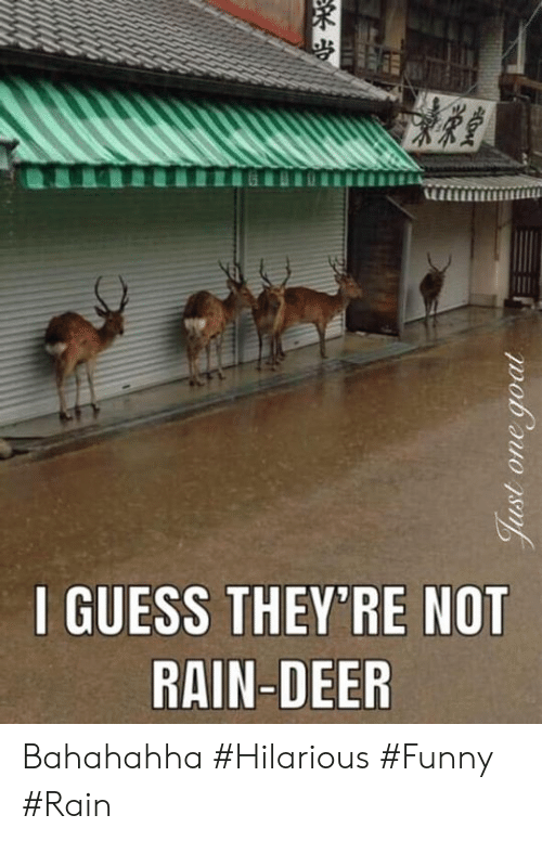 funny rain - Just one goat I Guess They'Re Not RainDeer Bahahahha