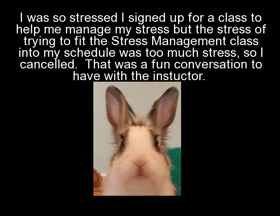 fauna - I was so stressed I signed up for a class to help me manage my stress but the stress of trying to fit the Stress Management class into my schedule was too much stress, so | cancelled. That was a fun conversation to have with the instuctor.