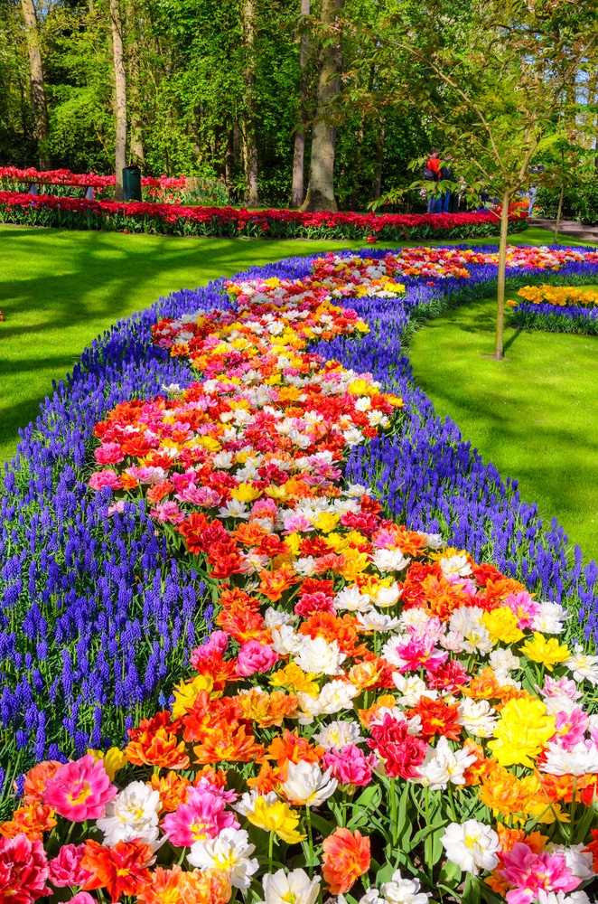 most beautiful flower places in the world