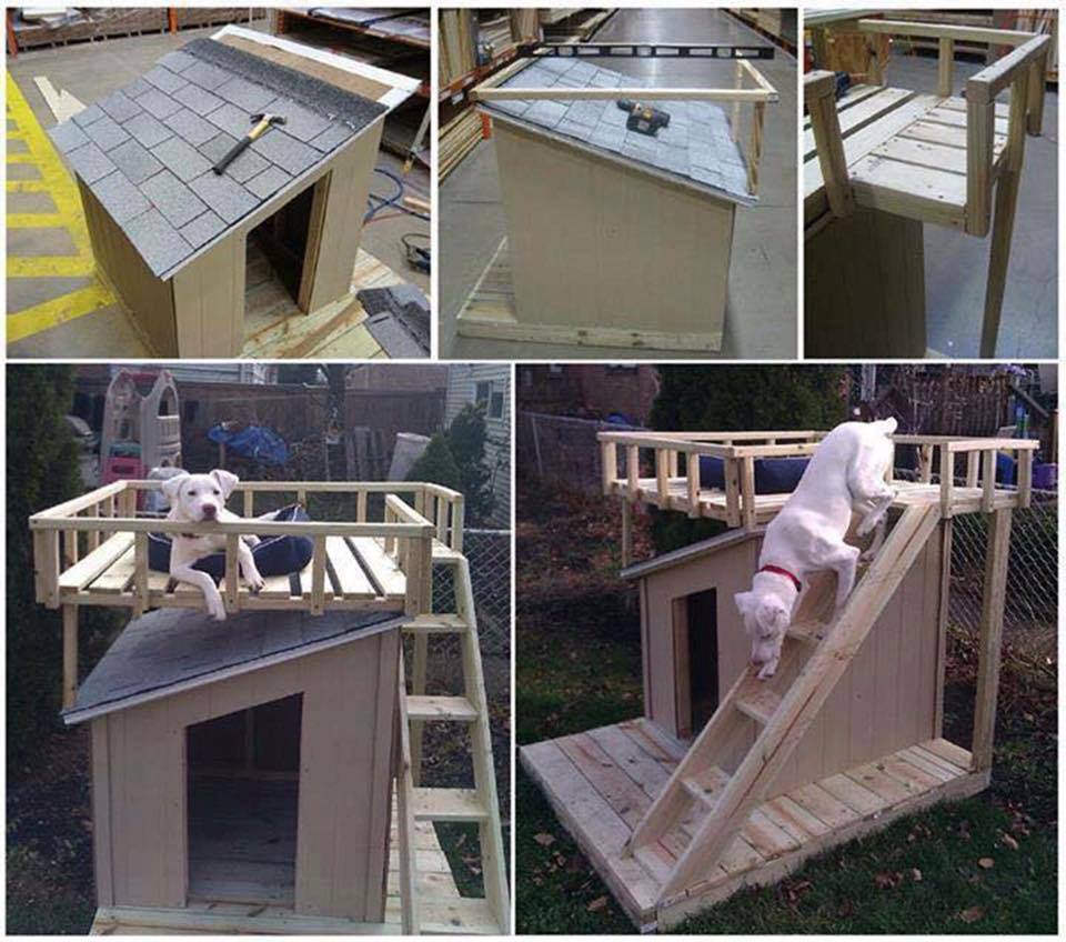 platform dog house