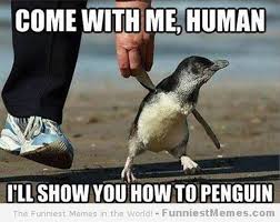 hilarious penguin - Come With Me, Human I'Ll Show You How To Penguin The Funniest Momes n the World Funniest Memes.com