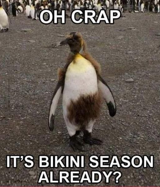goofy animals - Oh Crap It'S Bikini Season Already?