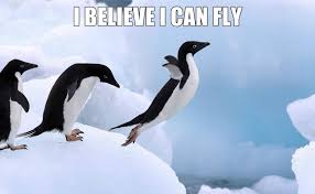 funny penguin - I Believe I Can Fly