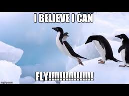 adelie penguin - I Believe I Can Fly!!!!!!!!!! !!