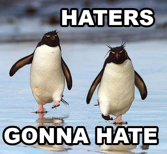 rockhopper penguin - Haters Gonna Hate