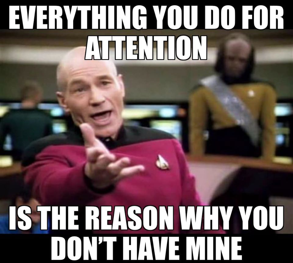 patrick stewart star trek meme - Everything You Do For Attention Is The Reason Why You Don'T Have Mine