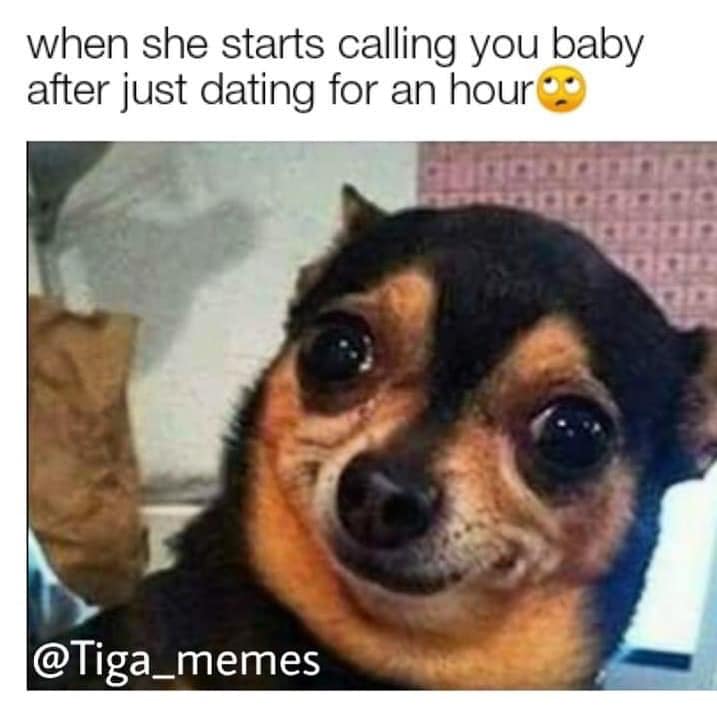 animal meme - when she starts calling you baby after just dating for an hour