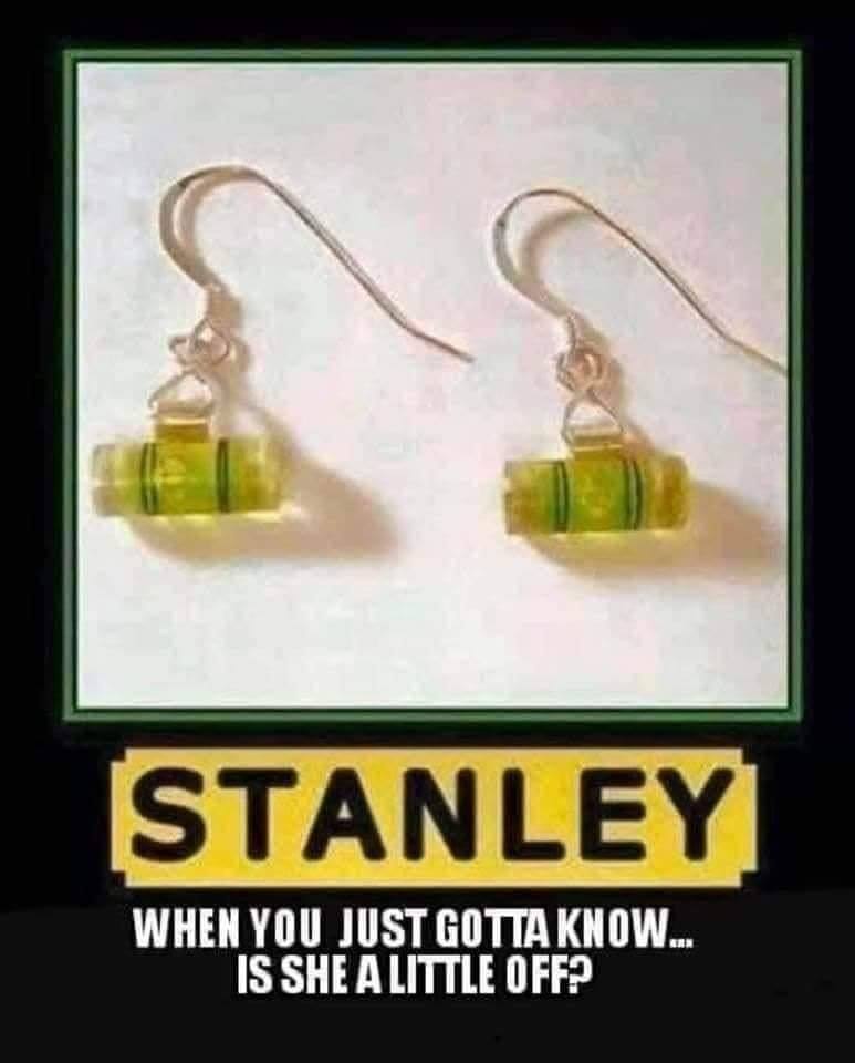 stanley earrings meme - Stanley When You Just Gotta Know... Is She A Little Off?