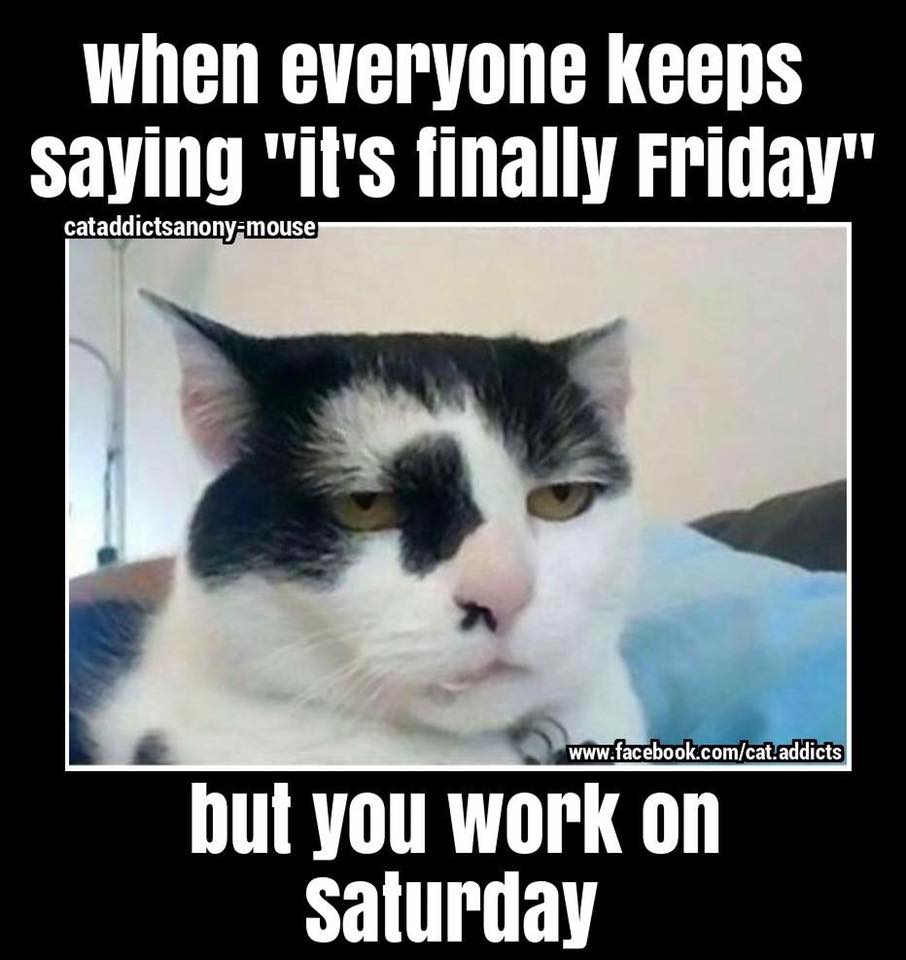 funny finally friday - when everyone keeps saying "it's finally Friday" cataddictsanonymouse but you work on Saturday