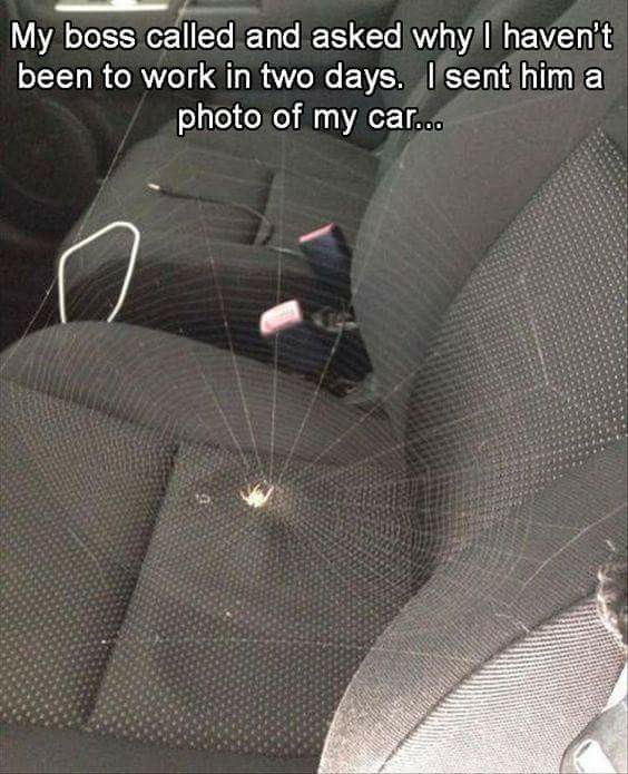 prank spider meme - My boss called and asked why I haven't been to work in two days. I sent him a photo of my car...