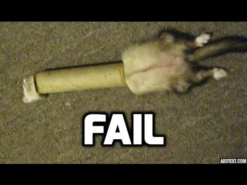 36 epic fails