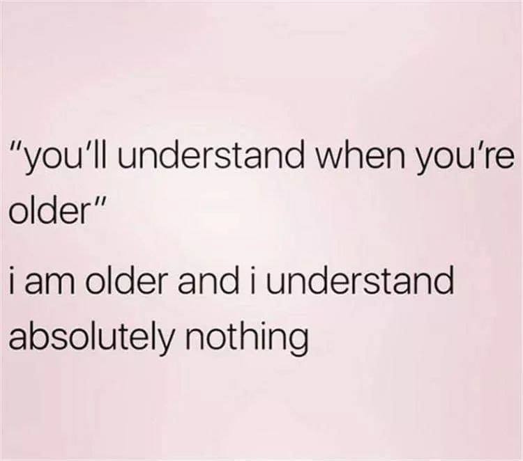 Internet meme - "you'll understand when you're older" i am older and i understand absolutely nothing