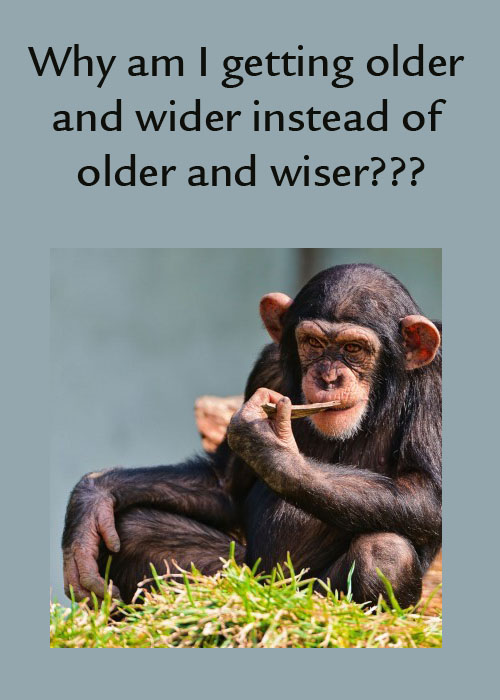 getting older funny quotes - Why am I getting older and wider instead of older and wiser???