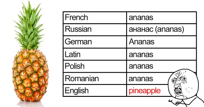 worst of the english language - French ananas Russian aHaHac ananas Ananas German ananas Latin Polish ananas ananas Romanian English pineapple
