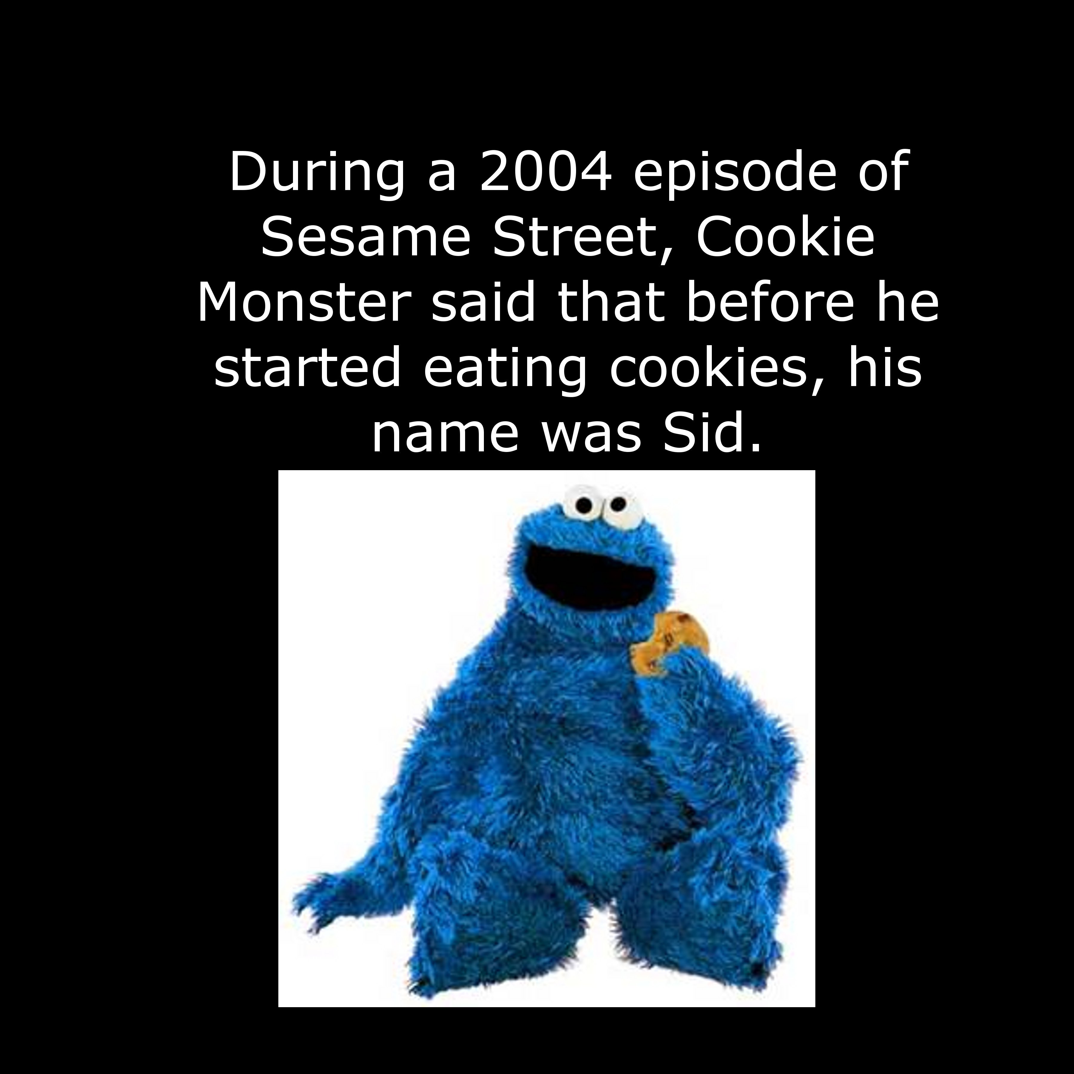 photo caption - During a 2004 episode of Sesame Street, Cookie Monster said that before he started eating cookies, his name was Sid.