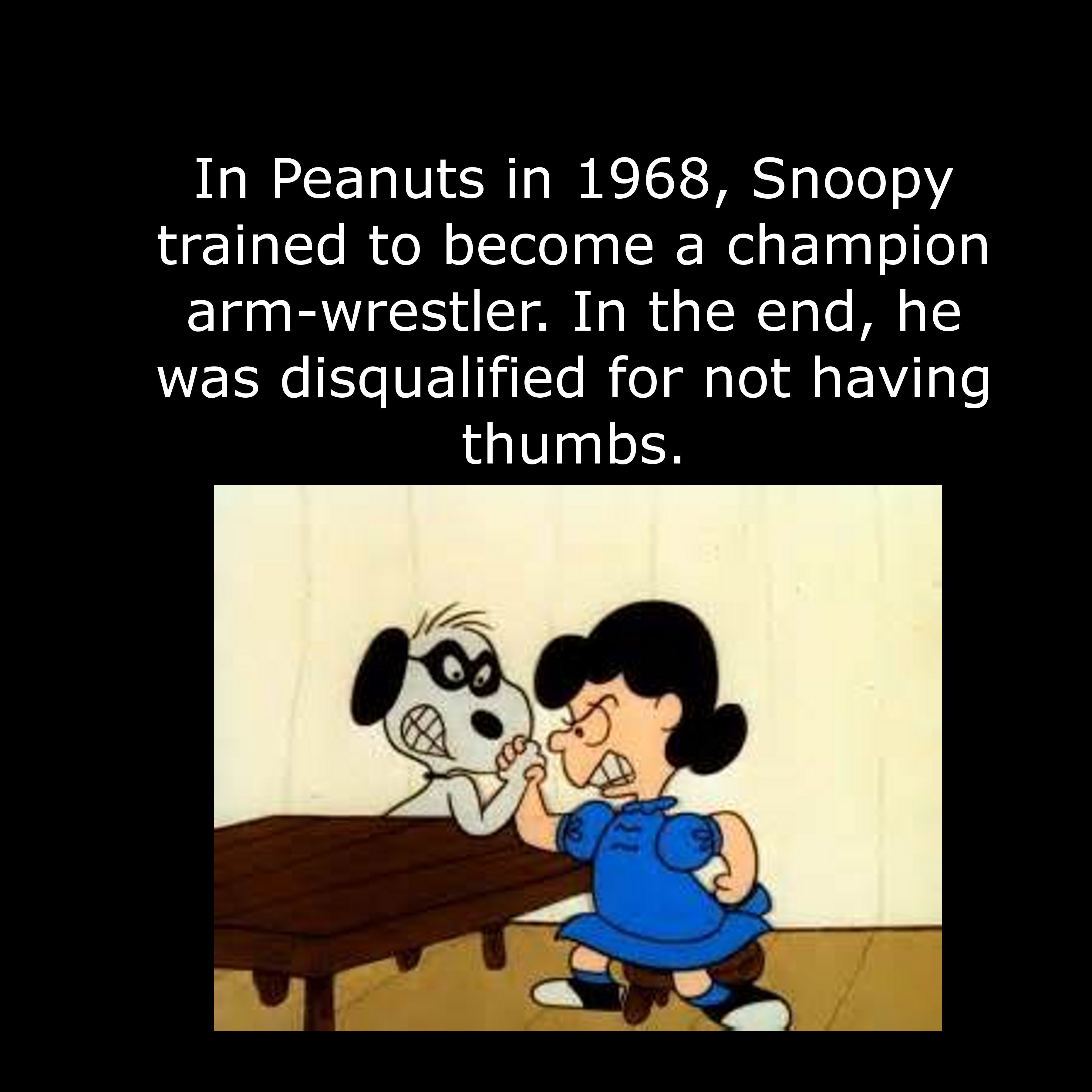 cartoon - In Peanuts in 1968, Snoopy trained to become a champion armwrestler. In the end, he was disqualified for not having thumbs.