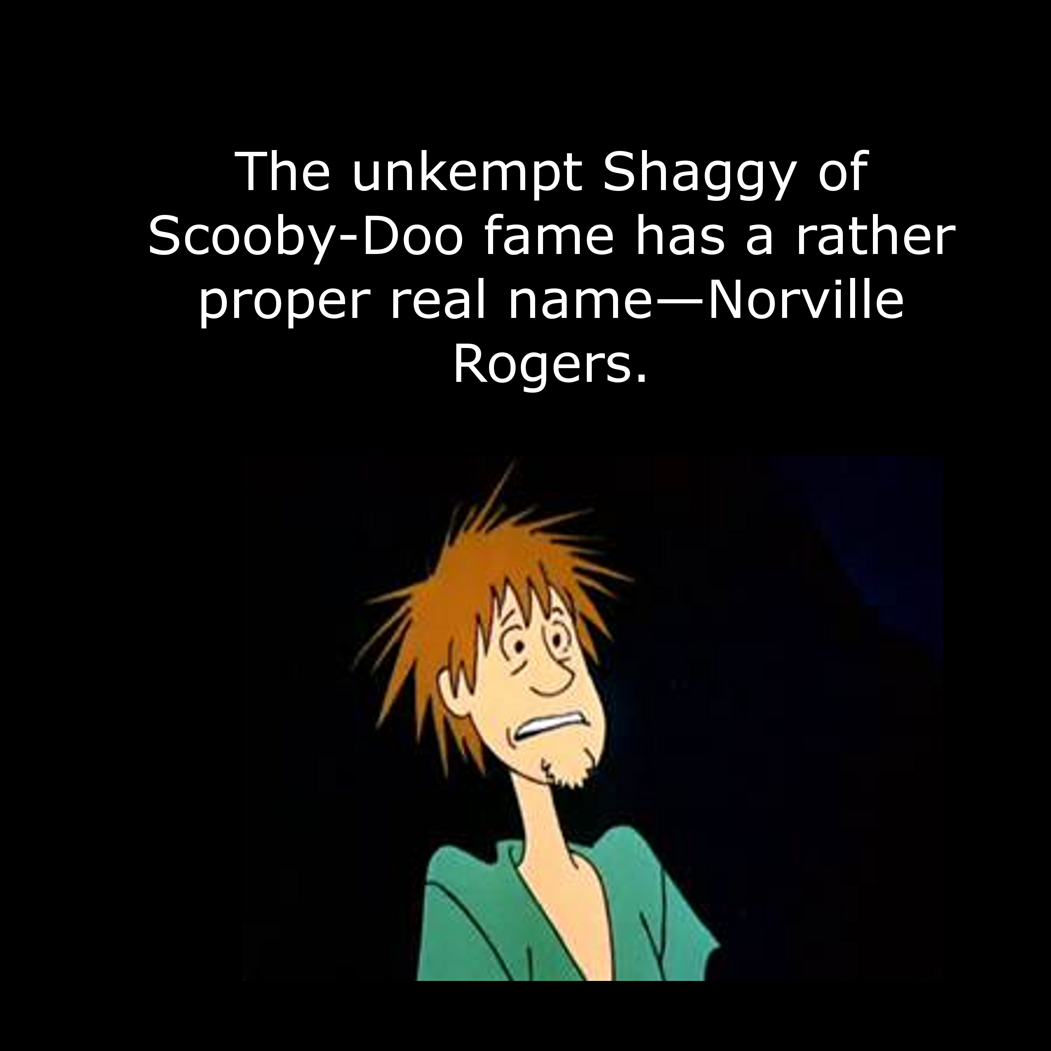 cartoon - The unkempt Shaggy of ScoobyDoo fame has a rather proper real nameNorville Rogers.