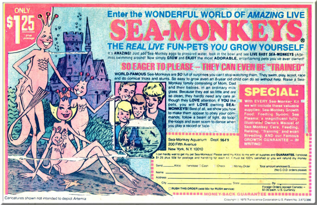 amazing sea monkeys - Only Enter the Wonderful World Of Amazing Live SeaMonkeys ph postage The Real Live FunPets You Grow Yourself It'S Amazing! Just add SeaMonkey eggs to prepared water, look in the bowl and see Live Baby SeaMonkeys Arte mia swimming aro
