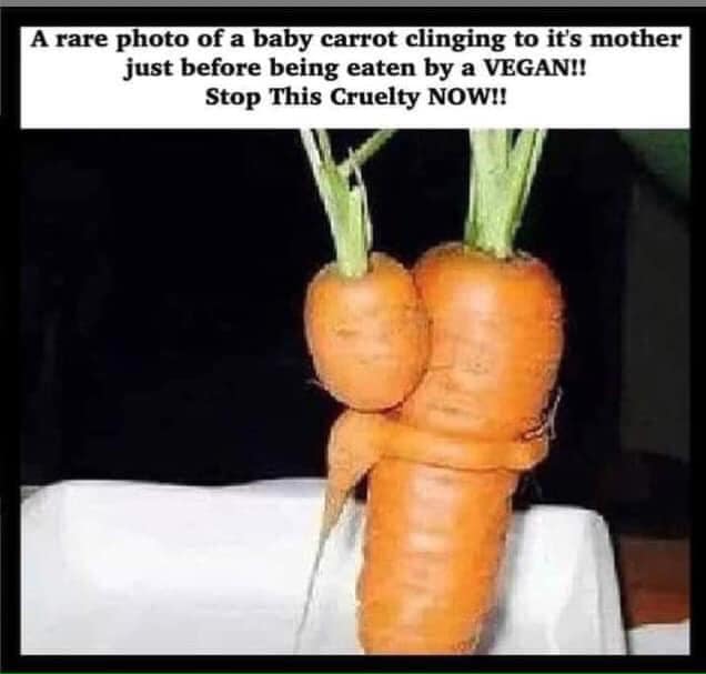 baby and mother carrot - A rare photo of a baby carrot clinging to it's mother just before being eaten by a Vegan!! Stop This Cruelty Now!!
