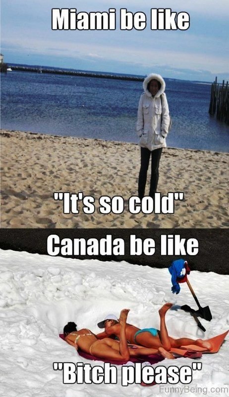 canada meme snow - Miami be "It's so cold" Canada be Bitch please" FunnyBeing.com