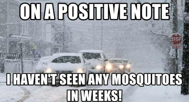 winter funny quotes - On A Positive Note Istop In 24 I Haven'T Seen Any Mosquitoes In Weeks!