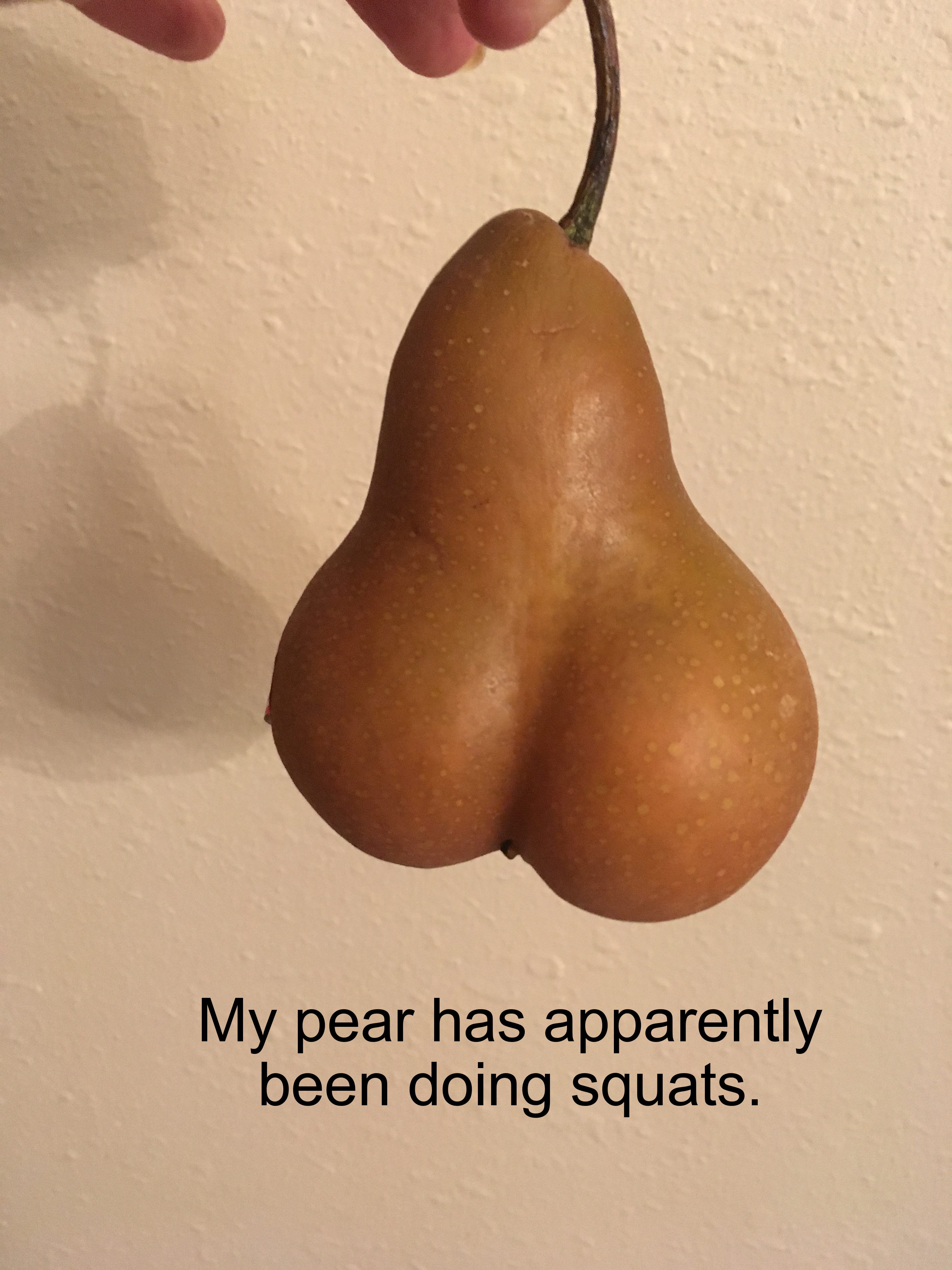 wandtattoo - My pear has apparently been doing squats.