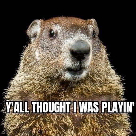 whats the difference between a groundhog - Y'All Thought I Was Playin'