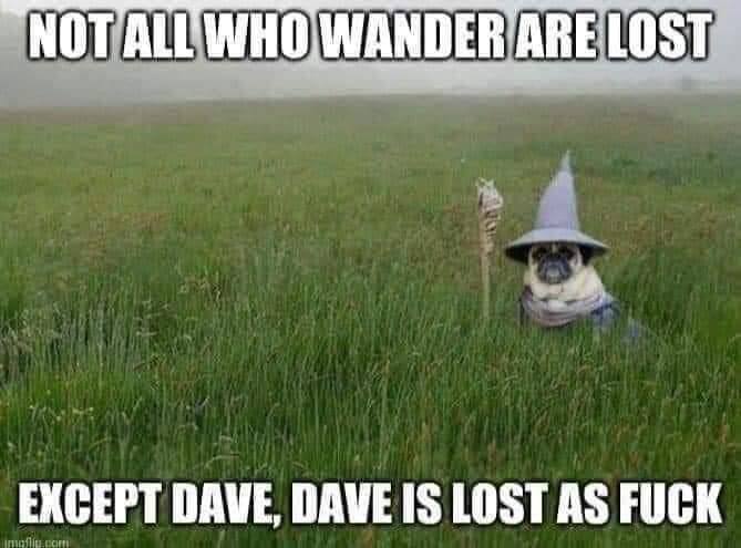 wander meme - Not All Who Wander Are Lost Except Dave, Dave Is Lost As Fuck malicom