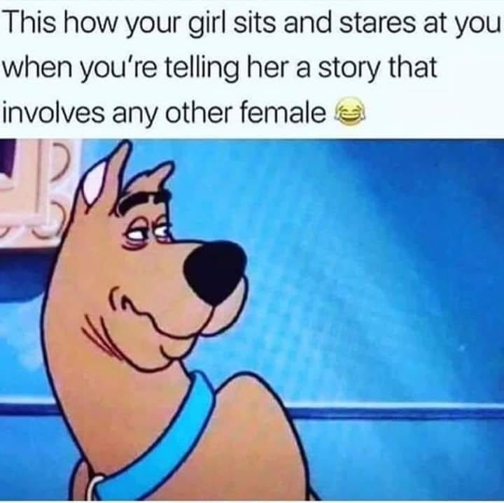 reaction scooby doo meme - This how your girl sits and stares at you when you're telling her a story that involves any other females
