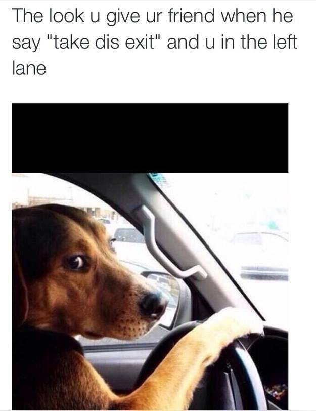 funny driving memes - The look u give ur friend when he say "take dis exit" and u in the left lane
