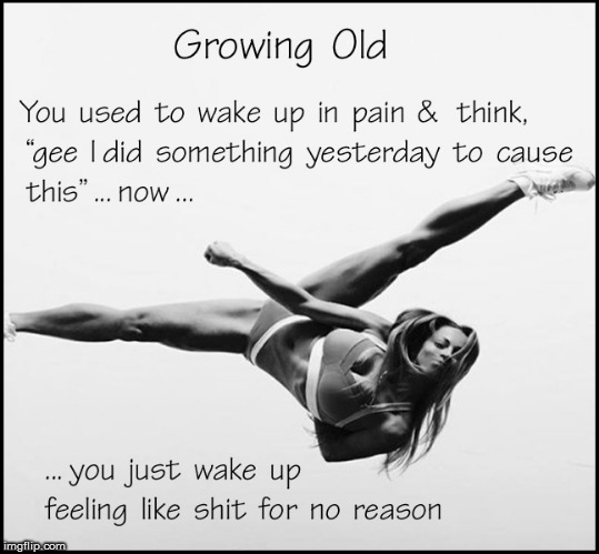 funny memes about getting old - Growing Old You used to wake up in pain & think, "gee I did something yesterday to cause this ... now ... you just wake up feeling shit for no reason imgflip.com