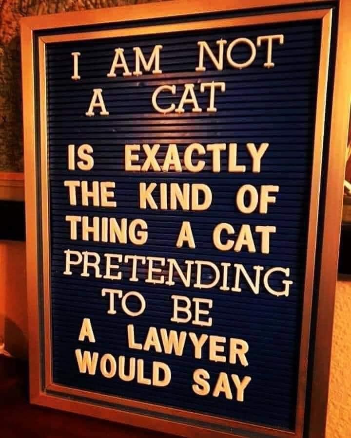 signage - I Am Not A Cat Is Exactly The Kind Of Thing A Cat Pretending To Be A Lawyer Would Say