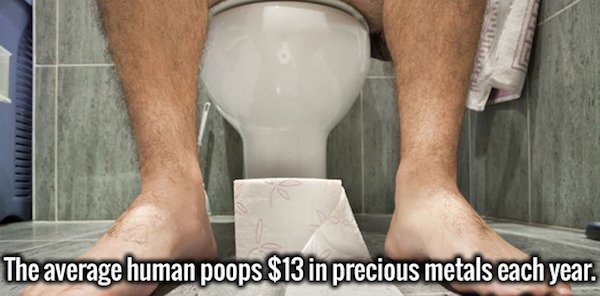 21 gross facts