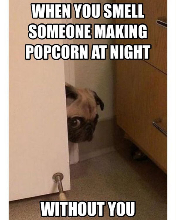 Popcorn addicts unite