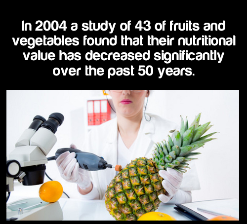 40 fun food facts