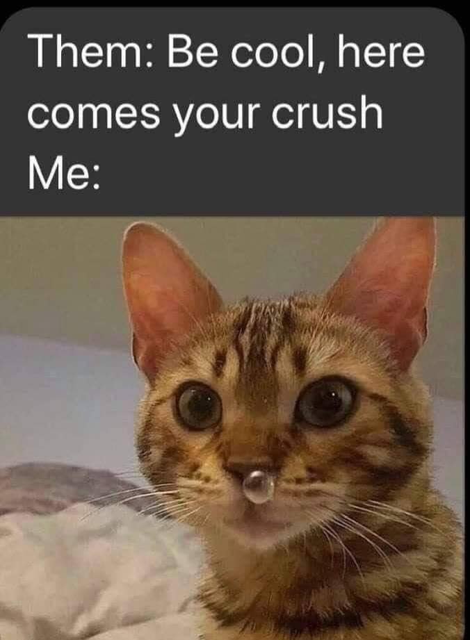 34 you will relate to if you got a crush