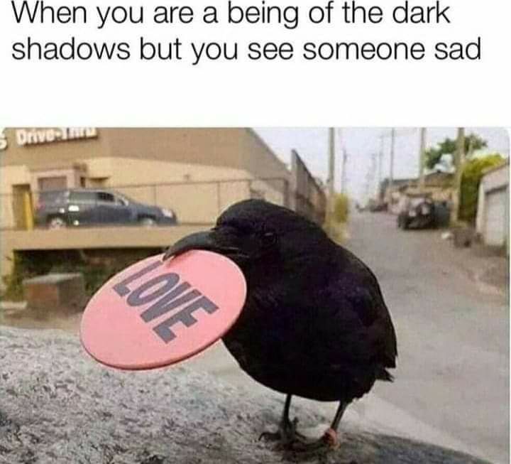 love crow - When you are a being of the dark shadows but you see someone sad Drive Love