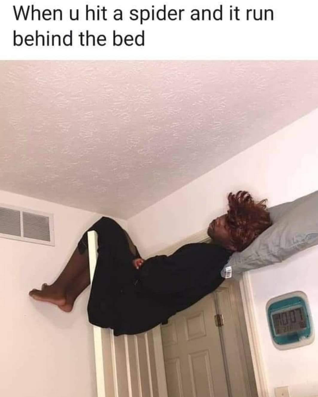 spider memes - When u hit a spider and it run behind the bed