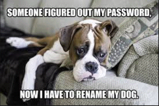 pASSword problems