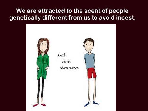 clothing - We are attracted to the scent of people genetically different from us to avoid incest. God damn pheromones