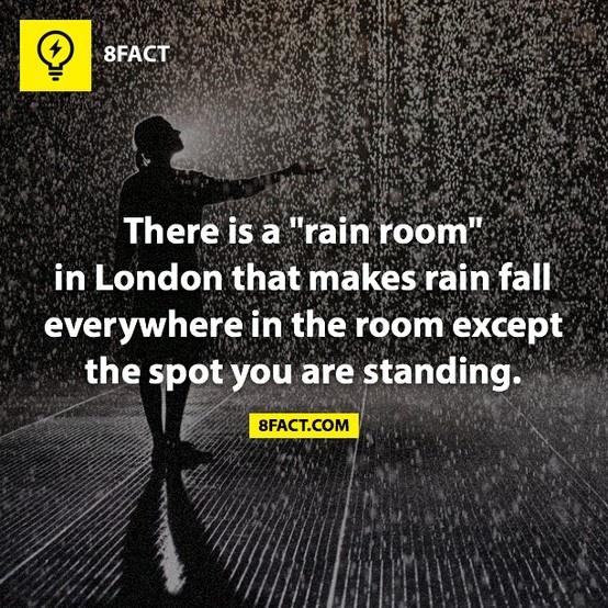 asphalt - 8FACT There is a "rain room" in London that makes rain fall everywhere in the room except the spot you are standing. 8FACT.Com