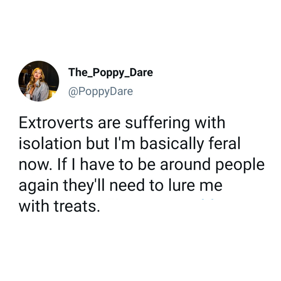 good morning tweets funny - The_Poppy_Dare Extroverts are suffering with isolation but I'm basically feral now. If I have to be around people again they'll need to lure me with treats.