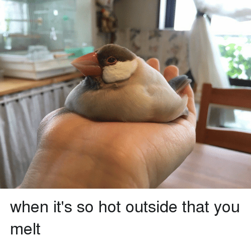 It's getting hot