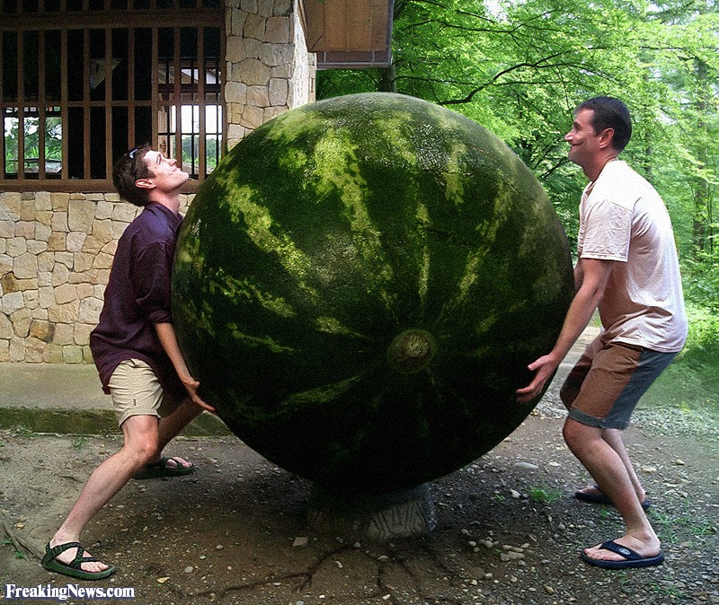 When your wife tells you to go to the store and get a melon for the BBQ