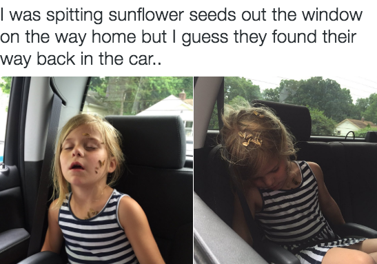 spit sunflower seeds - I was spitting sunflower seeds out the window on the way home but I guess they found their way back in the car..