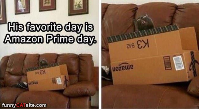 Prime Day Memes