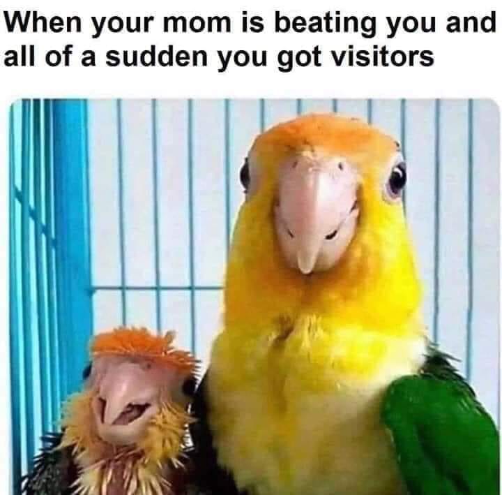relatable memes - your mom is beating you and you have visitors - When your mom is beating you and all of a sudden you got visitors